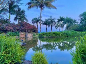 Journey to the 'Place of Many Little Birds'