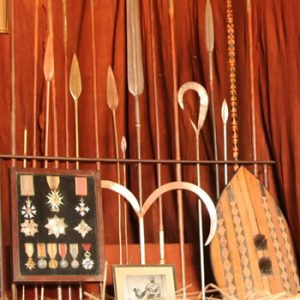Cultural Tours
