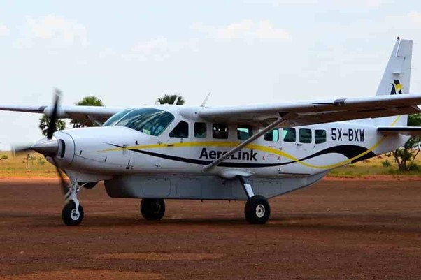 Domestic Air Flights