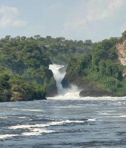 Murchison Falls National Park