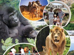 Bwindi Impenetrable Forest
