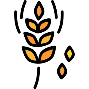 Millet