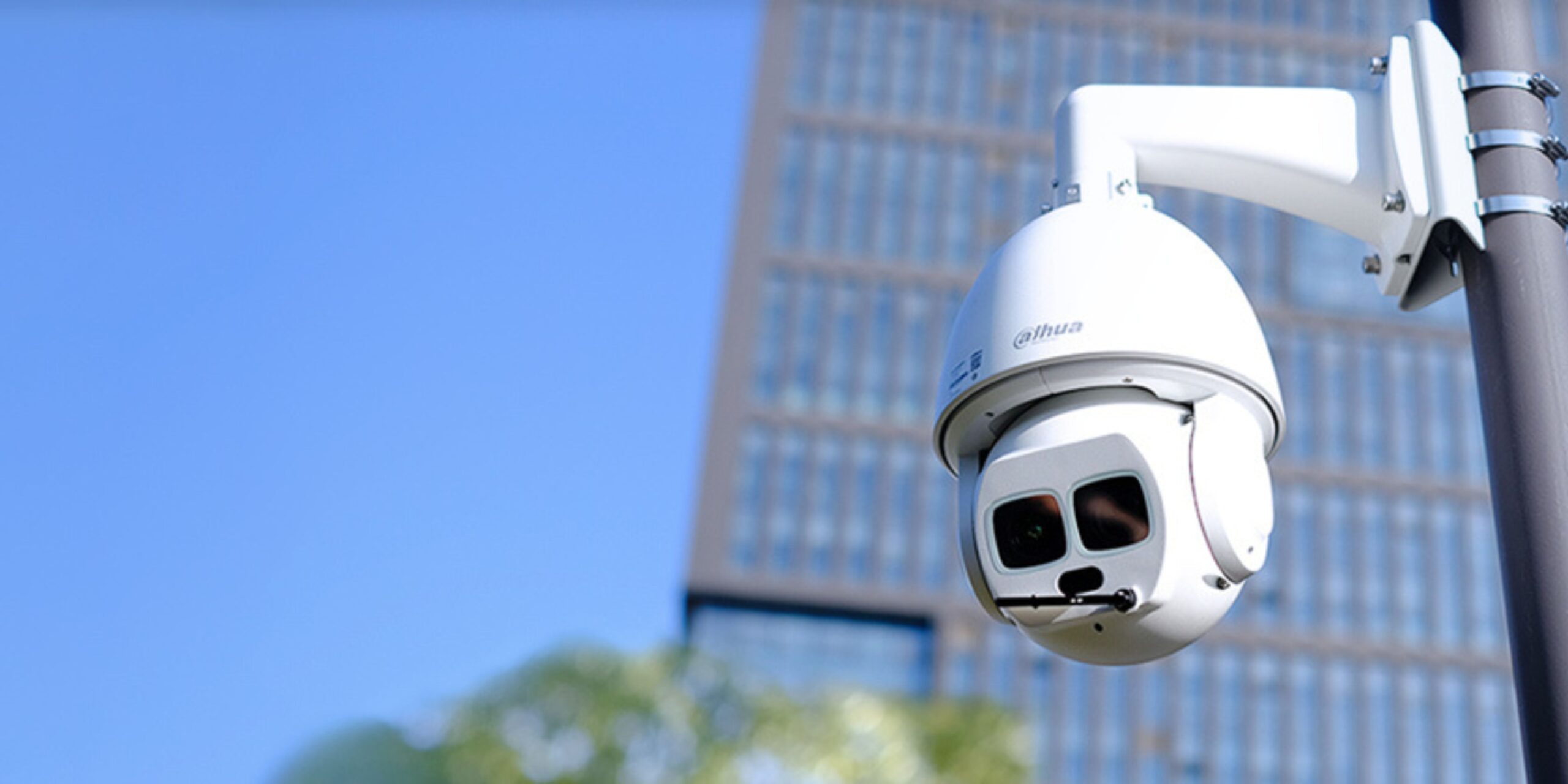 IP Cameras