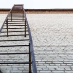 Escape Ladders