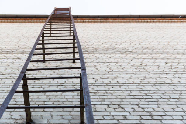 Escape Ladders