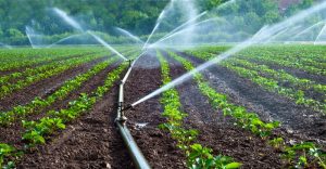 Water Management Zones (WMZ)