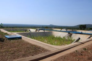 Albert water management zone