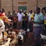 Ogwang Sows Hope with Goats for Ngariam Youth